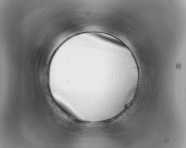 X0000091561008200709141532