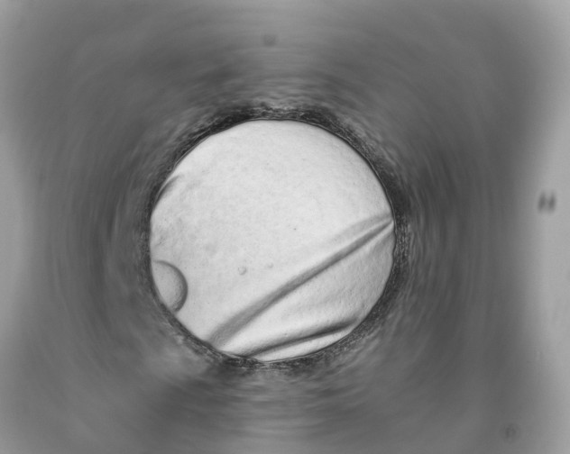 X0000091561009200709141531