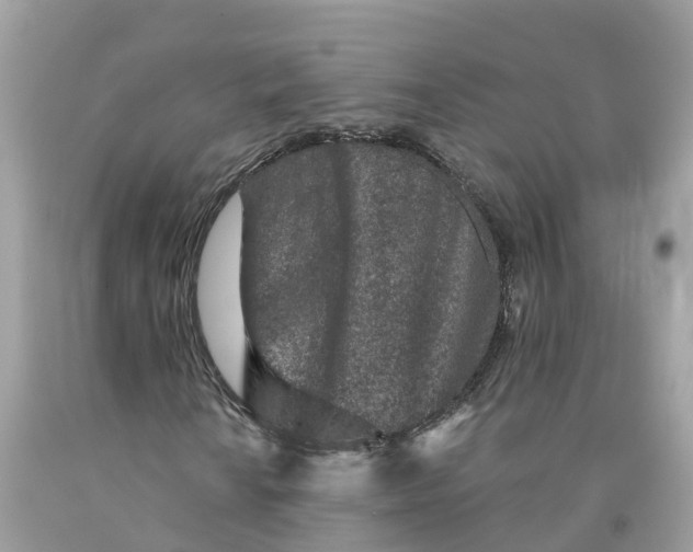 X0000091561010200709141531