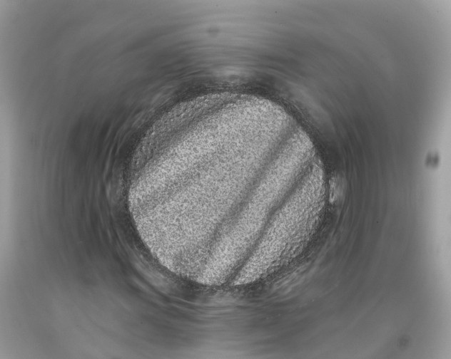 X0000091561011200709141531