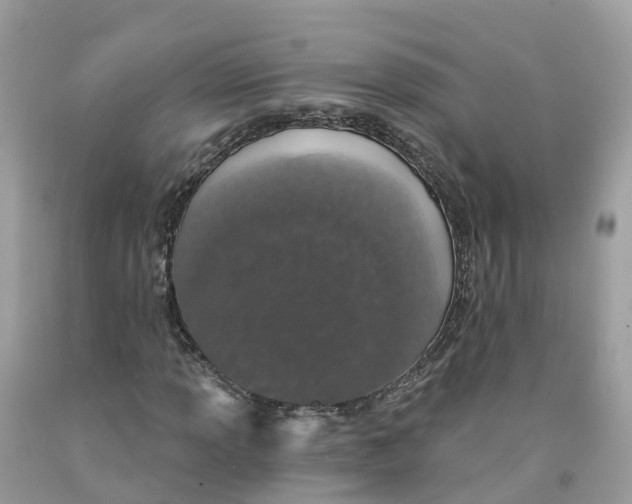 X0000091561013200709141531