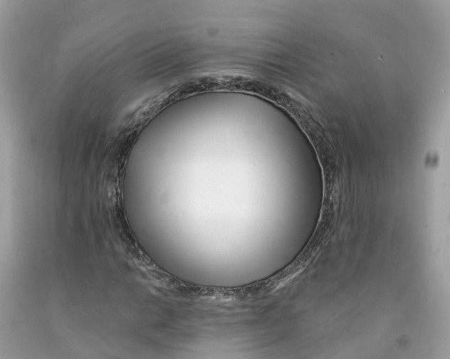 X0000091561014200709141531