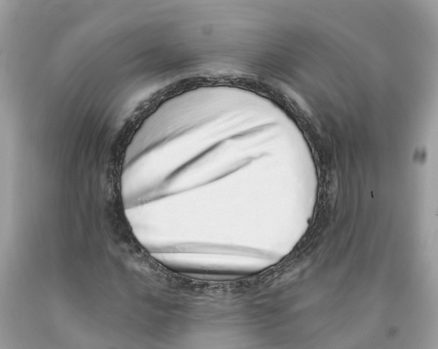 X0000091561016200709141531