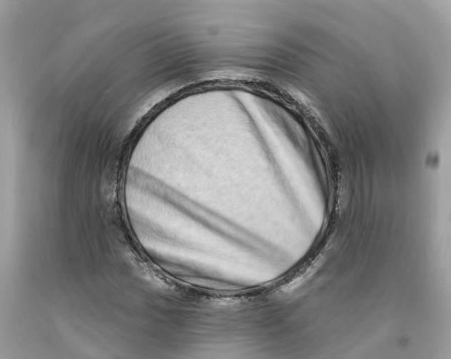 X0000091561017200709141531