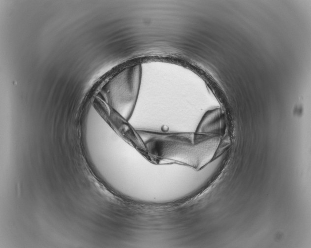 X0000091561018200709141531