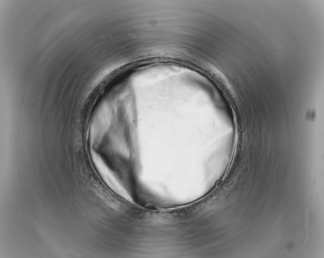 X0000091561019200709141531