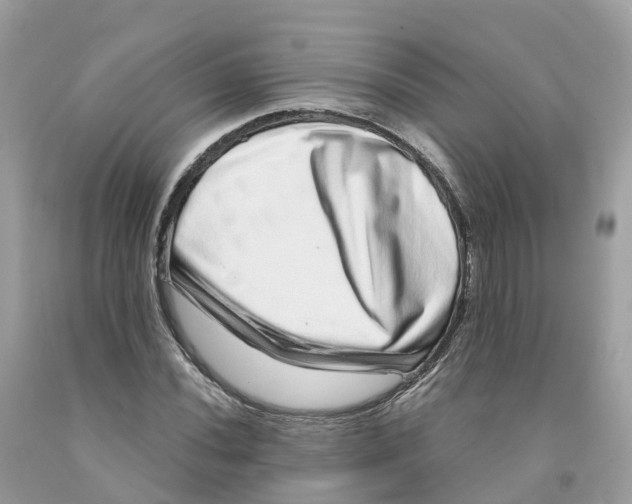 X0000091561020200709141531