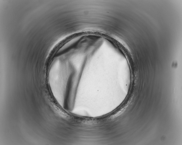 X0000091561021200709141531