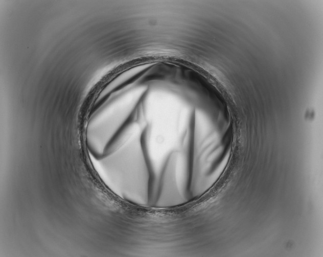 X0000091561022200709141531