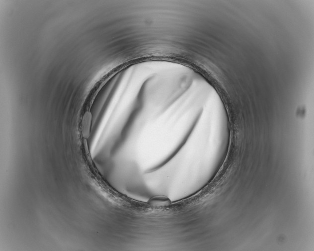 X0000091561026200709141531