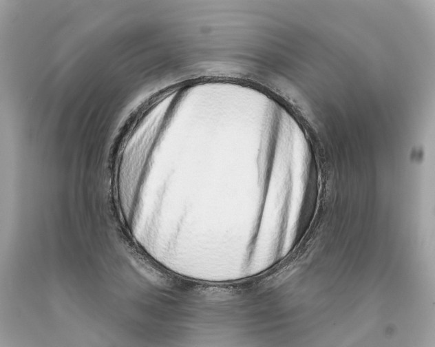 X0000091561027200709141531