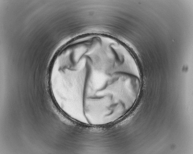 X0000091561029200709141531