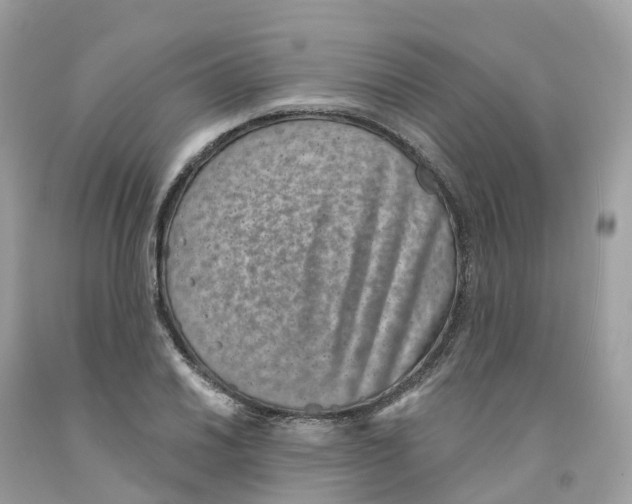 X0000091561030200709141531