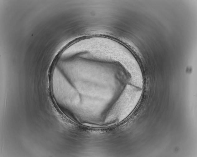 X0000091561031200709141531