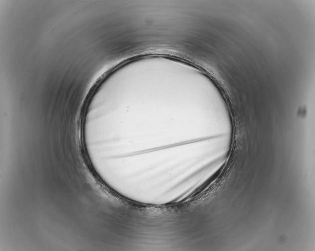 X0000091561032200709141531