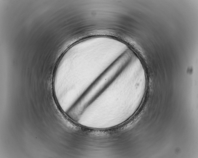 X0000091561033200709141531