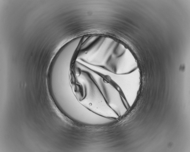 X0000091561034200709141531