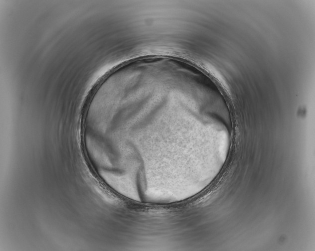 X0000091561035200709141532