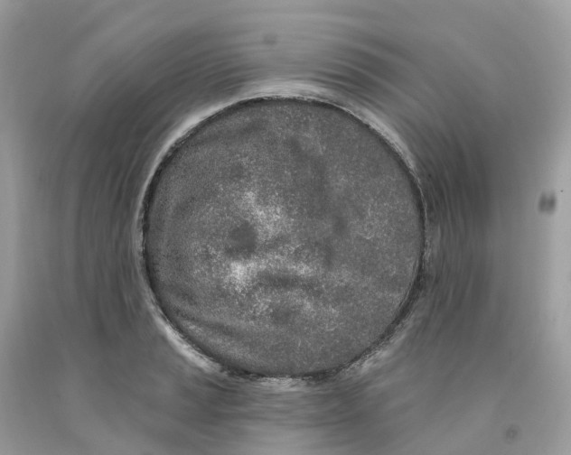 X0000091561037200709141532