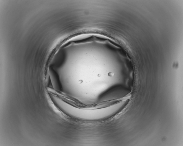 X0000091561038200709141532