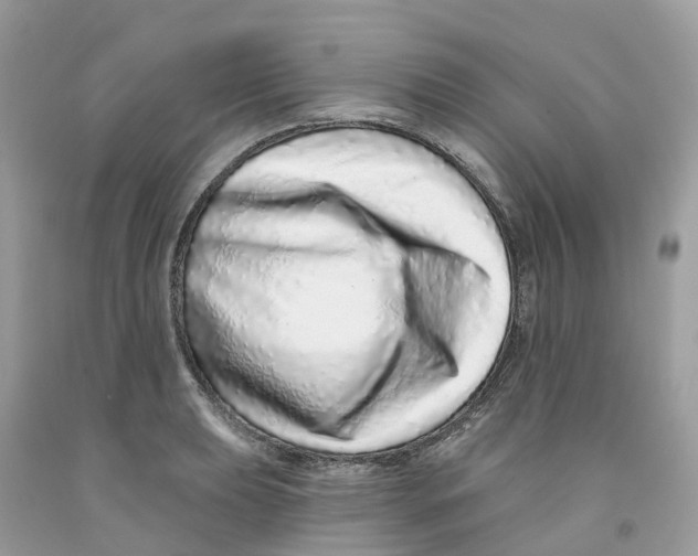 X0000091561039200709141532