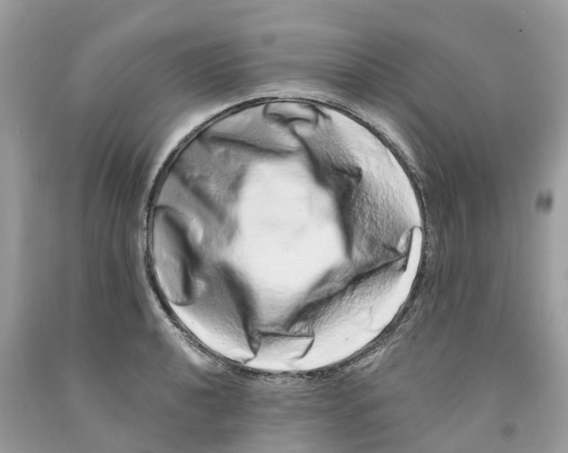 X0000091561040200709141532