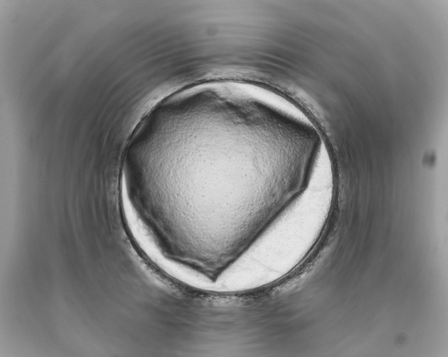 X0000091561041200709141532