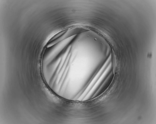 X0000091561042200709141532