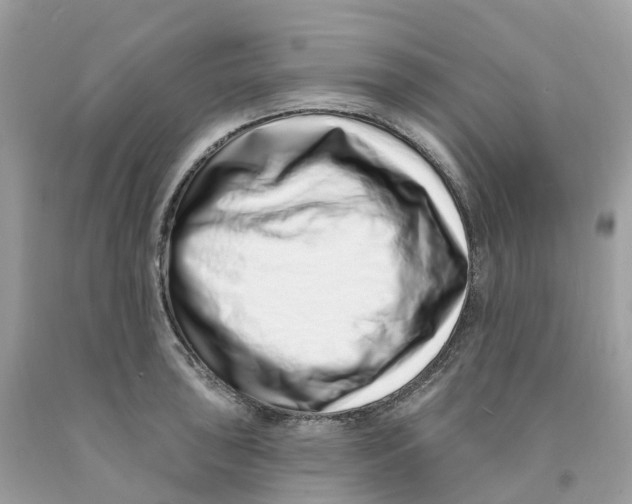 X0000091561043200709141532