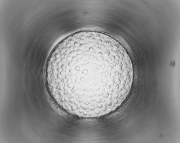 X0000091561044200709141532