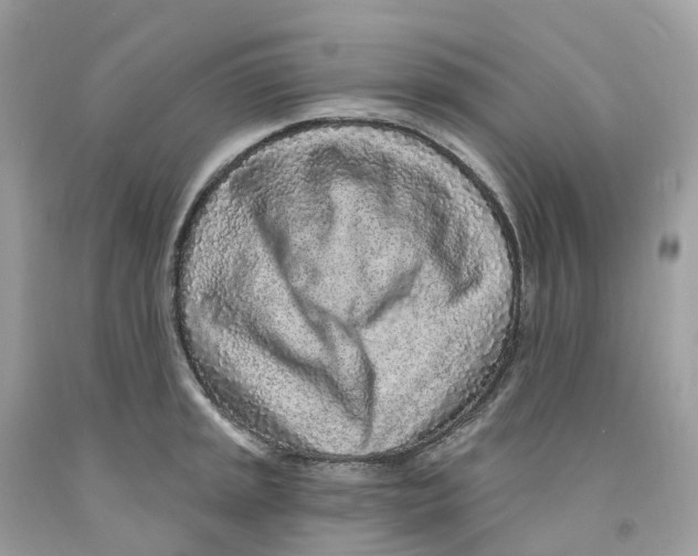 X0000091561045200709141532