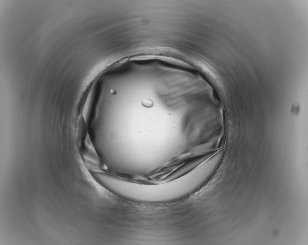 X0000091561046200709141532