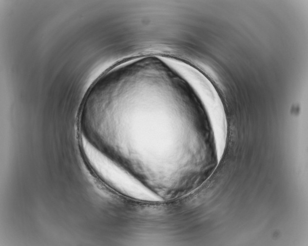 X0000091561047200709141532