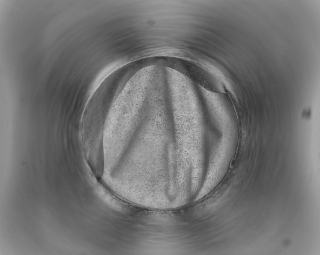 X0000091561050200709141532