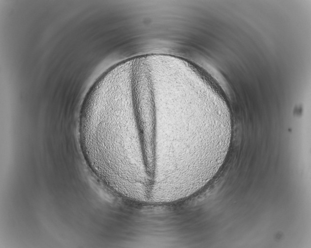 X0000091561051200709141532