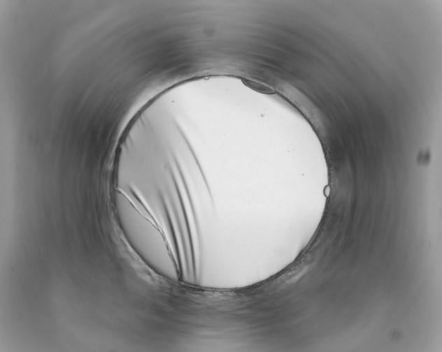 X0000091561052200709141532