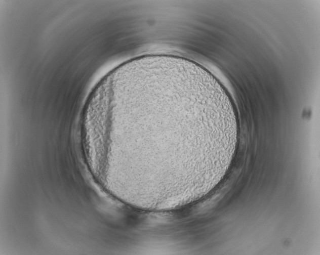 X0000091561053200709141532