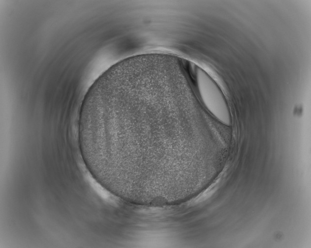 X0000091561054200709141532