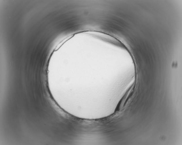 X0000091561056200709141532