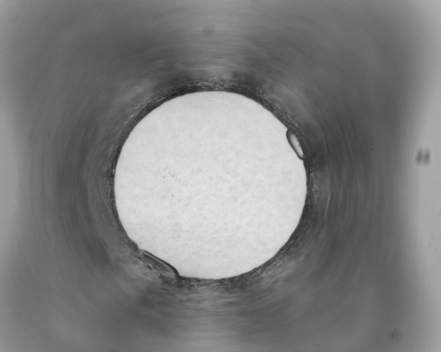 X0000091561057200709141531