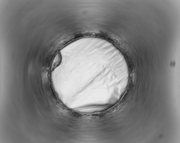 X0000091561059200709141531