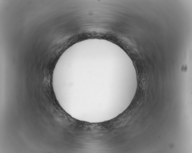 X0000091561061200709141531