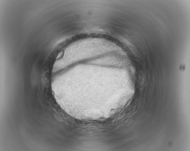 X0000091561063200709141531