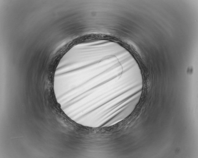 X0000091561064200709141531