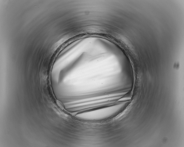 X0000091561065200709141531