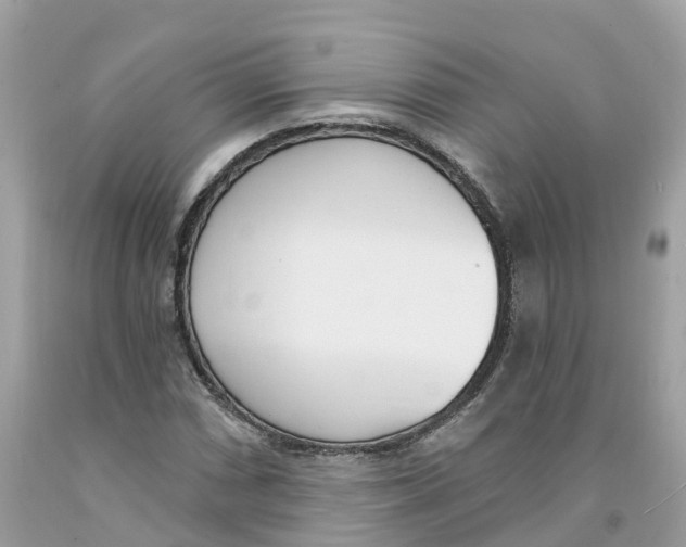 X0000091561066200709141531