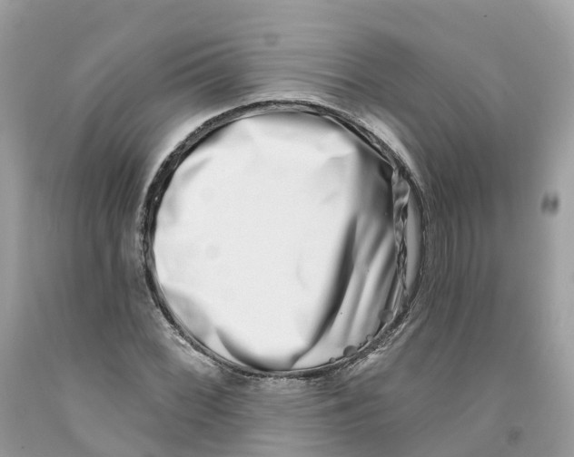 X0000091561068200709141531