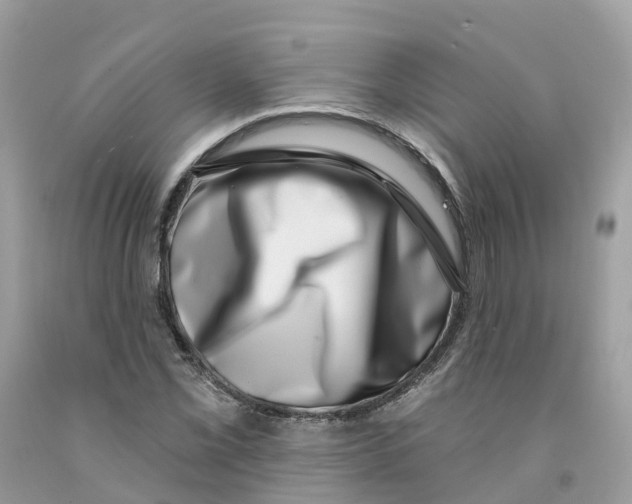 X0000091561069200709141531