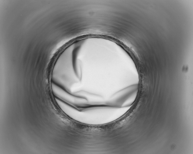 X0000091561070200709141531