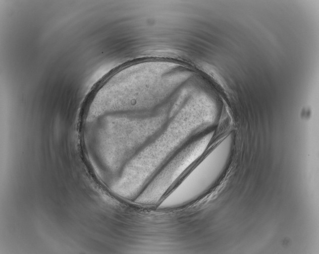 X0000091561071200709141531